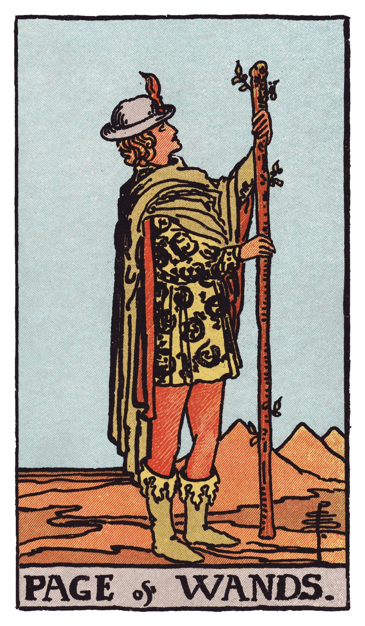 PAGE of WANDS